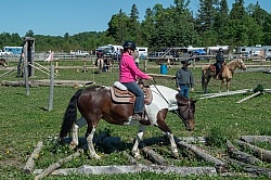 Extrme Cowboy Clinic with Lantz Mclaren at Horse Country