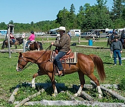 Extrme Cowboy Clinic with Lantz Mclaren at Horse Country