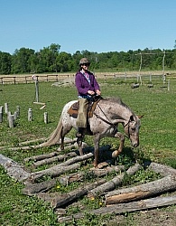Extrme Cowboy Clinic with Lantz Mclaren at Horse Country
