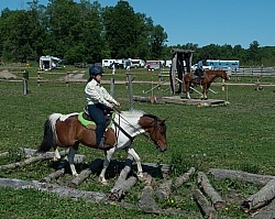 Extrme Cowboy Clinic with Lantz Mclaren at Horse Country