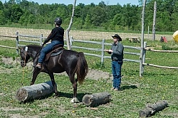 Extrme Cowboy Clinic with Lantz Mclaren at Horse Country