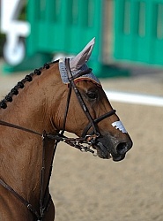 Pablo Barrios and G & C Lagran WEG 2010