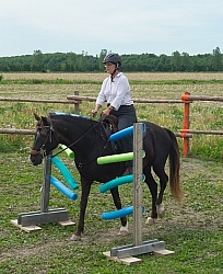 The Extreme Cowboy Race at Horse Country s Lantz McLaren Clinic