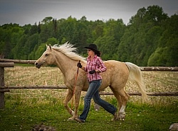 The Extreme Cowboy Race at Horse Country s Lantz McLaren Clinic