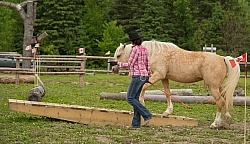 The Extreme Cowboy Race at Horse Country s Lantz McLaren Clinic