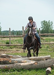 The Extreme Cowboy Race at Horse Country s Lantz McLaren Clinic