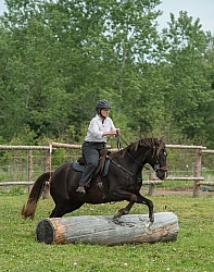 The Extreme Cowboy Race at Horse Country s Lantz McLaren Clinic