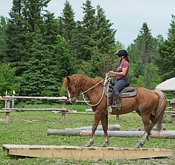 The Extreme Cowboy Race at Horse Country s Lantz McLaren Clinic