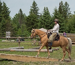 The Extreme Cowboy Race at Horse Country s Lantz McLaren Clinic