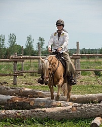The Extreme Cowboy Race at Horse Country s Lantz McLaren Clinic