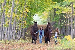 Standardbred with Tween