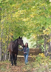 Standardbred with Tween