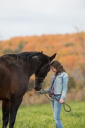 Standardbred with Tween