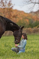 Standardbred with Tween