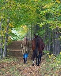 Standardbred with Tween