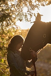 Standardbred with Tween