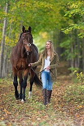 Standardbred with Tween