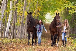 Standardbred with Tween