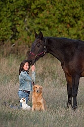 Standardbred with Tween