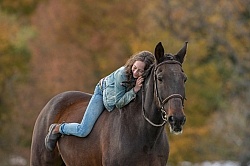 Horse and Human Bond Standardbred