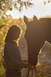 Horse and Human Bond Standardbred