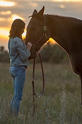 Horse and Human Bond Standardbred