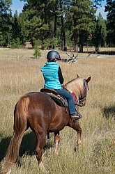 Kids on the Trail at Bar W