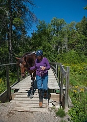 Horse Country Campground