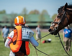 Sharon White and Rafferty s Rules take a fall at Rolex 2014
