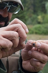 Fly Fishing at Bar W