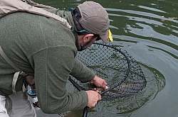 Fly Fishing at Bar W