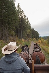 The Wagon Ride