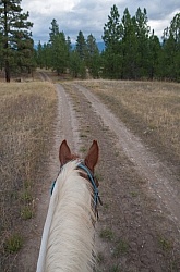 On the Trails with Bar W