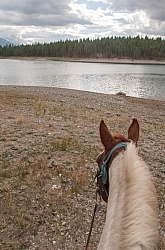 On the Trails with Bar W