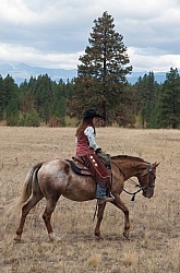 On the Trails with Bar W