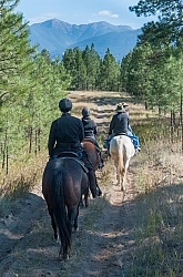 On the Trails with Bar W