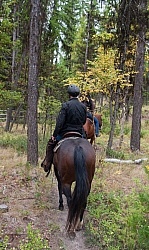 Joe on Pilgrim on the Trail at Bar W