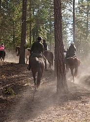 On the Trails with Bar W