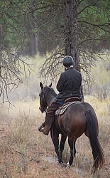 On the Trails with Bar W