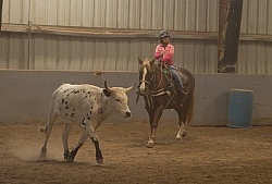 Team Penning at Bar W