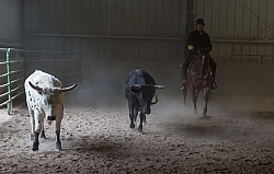 Team Penning at Bar W