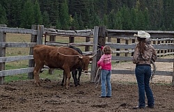 Learning to Rope at Bar W
