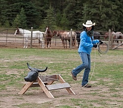 Learning to Rope at Bar W