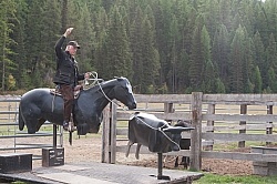 Learning to Rope at Bar W