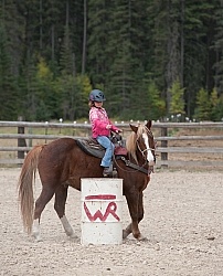 Western games at bar W ranch