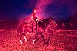 Getting the Horses used to Flares