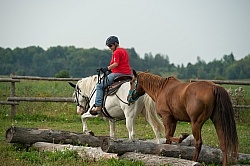 Eydie Ponying at Horse Country Camgrounds