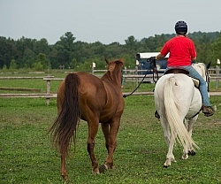 Eydie Ponying at Horse Country Camgrounds