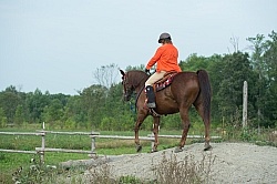 Cinette and Blaze coming down the Hill at Horse Country Campgrou