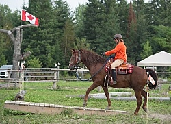 Cinette and Blaze Crossing the Bridge at Horse Country Campgroun